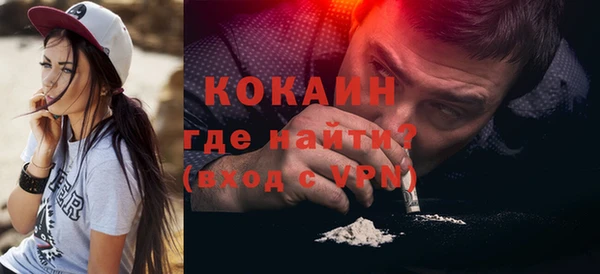 тгк Дмитриев