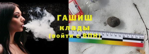 тгк Дмитриев