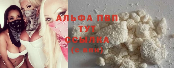 тгк Дмитриев