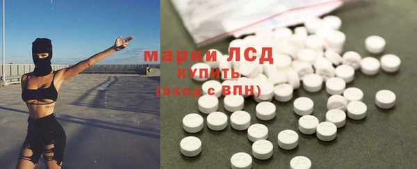 тгк Дмитриев