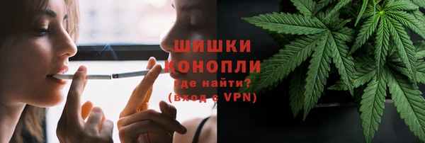бошки Дмитров