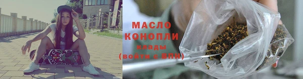 тгк Дмитриев