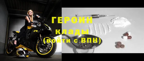 тгк Дмитриев