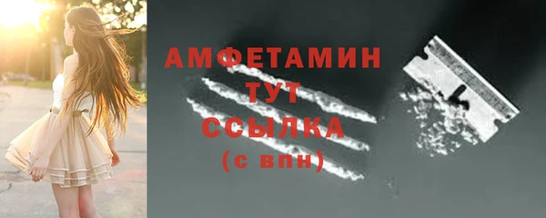 тгк Дмитриев