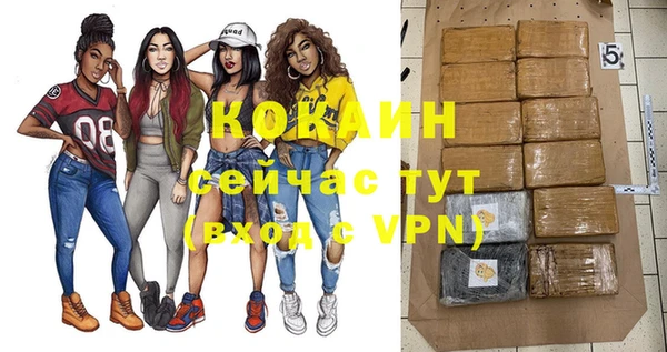 бошки Дмитров