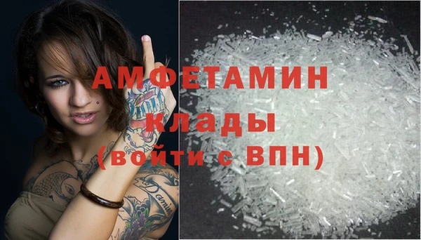 тгк Дмитриев
