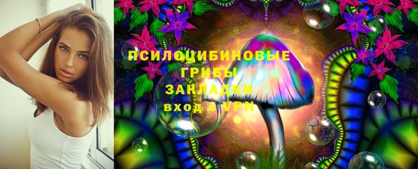 соль курить ск Дмитровск