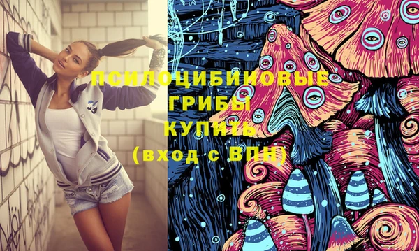 бошки Дмитров