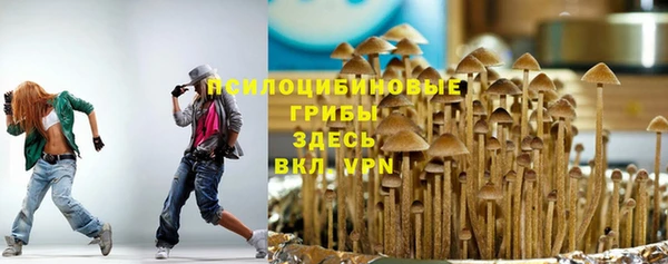 бошки Дмитров
