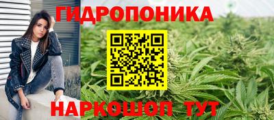 мяу мяу мука Бийск