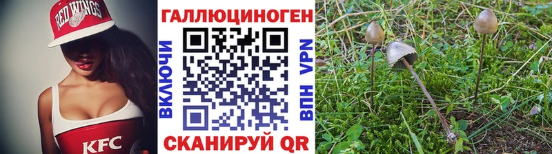 Галлюциногенные грибы мицелий  цены наркотик  Заводоуковск 