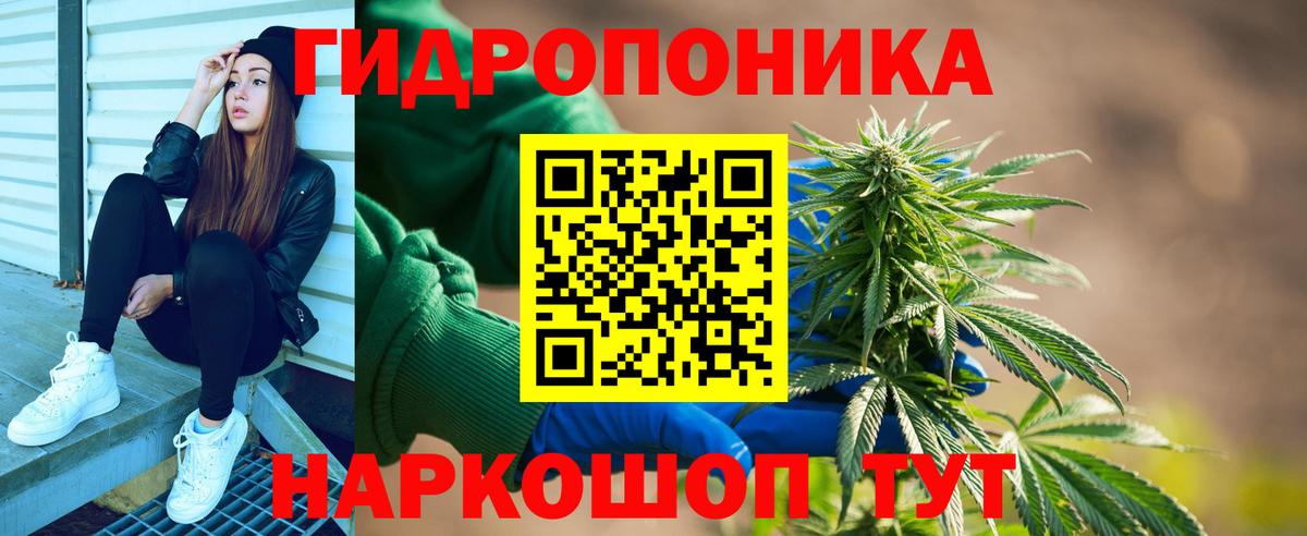 Канабис Ganja  Шишки марихуана SATIVA & INDICA  Вход с VPN  Заводоуковск  Шишки марихуана план 